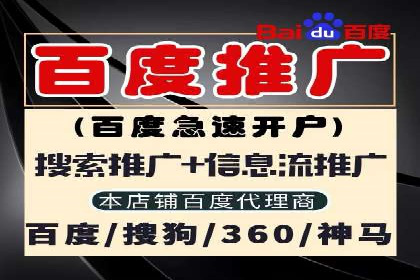 某电商平台的SEM专员营销策略